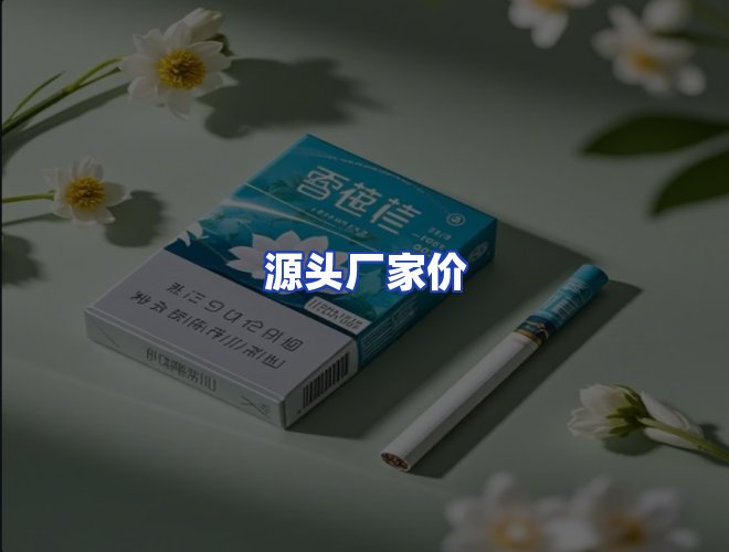 专业团队